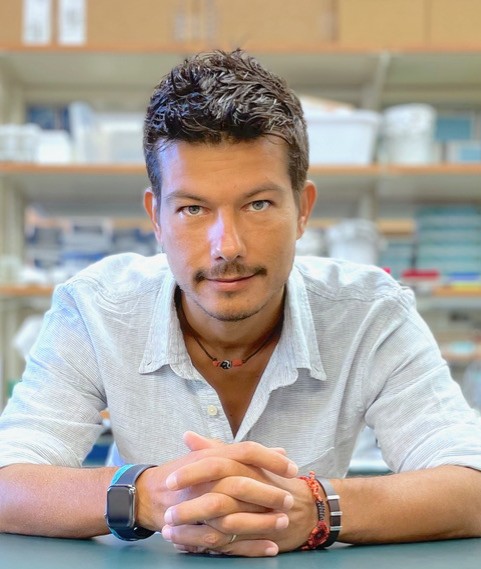 Andrea Galmozzi